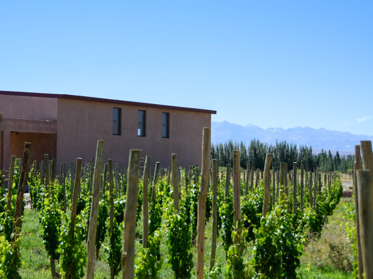 Vista panorámica de la bodega